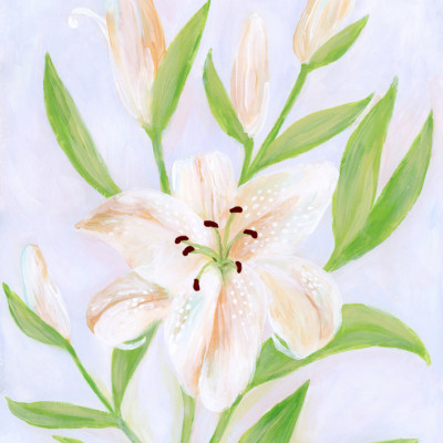 Blooming White Lilies