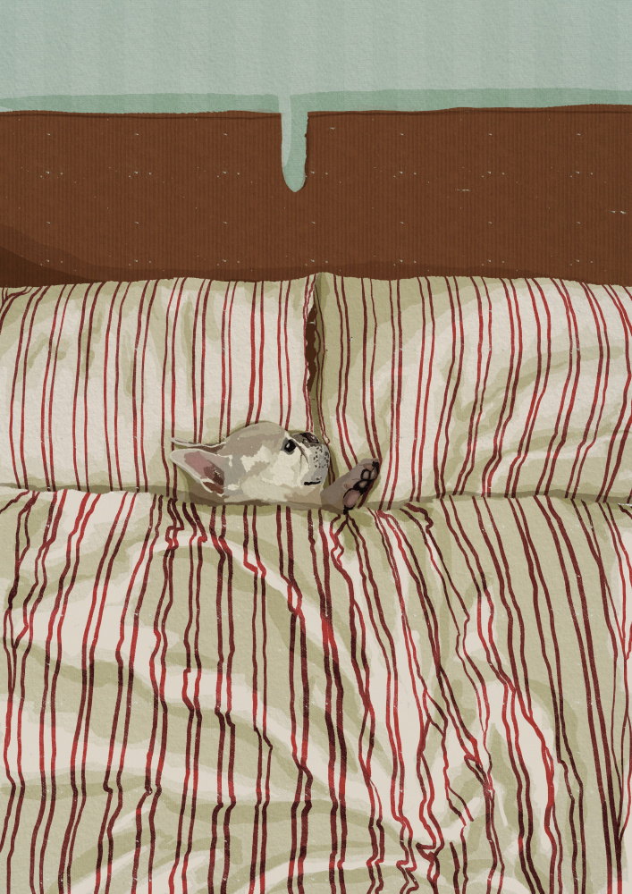 Cozy Dog in Bed by Lisa Solomoniuk — canvas wall art