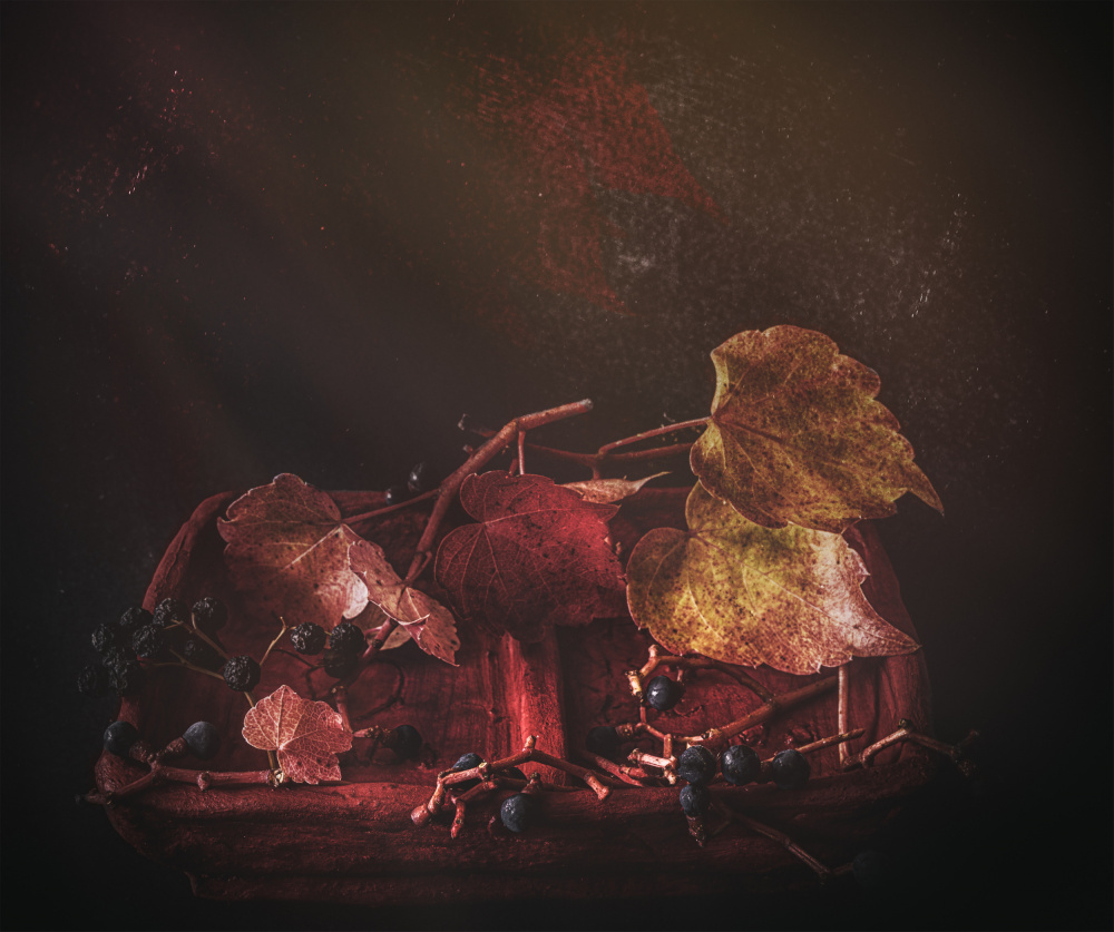 Moody Autumn Leaves by Marie-anne Stas — canvas wall art