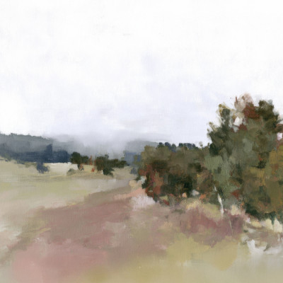 Misty Field Landscape