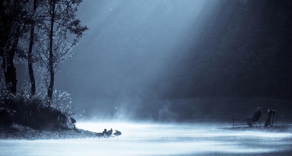 Misty Lake Morning by Robert Adamec — canvas wall art