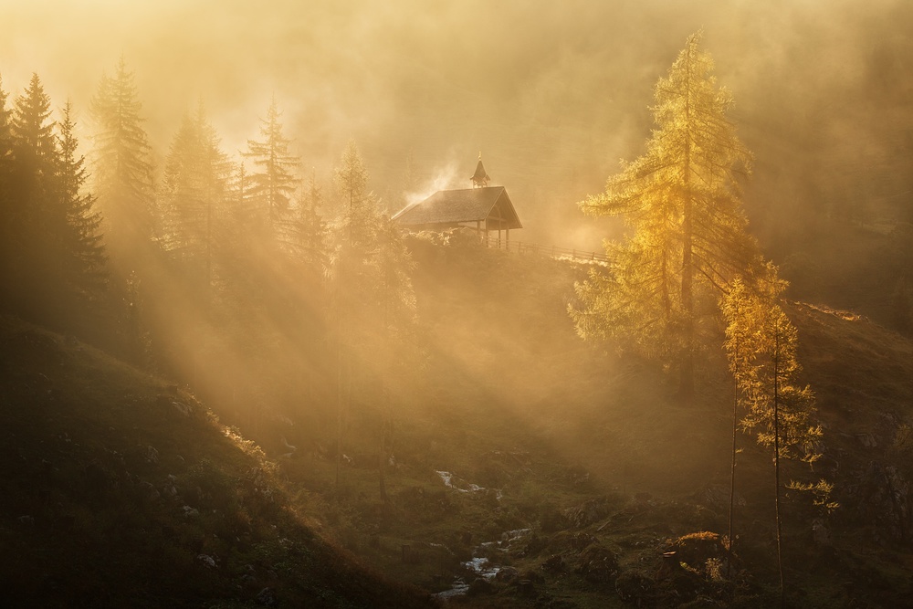 Golden Mist Mountain Cabin by Daniel Řeřicha — canvas wall art