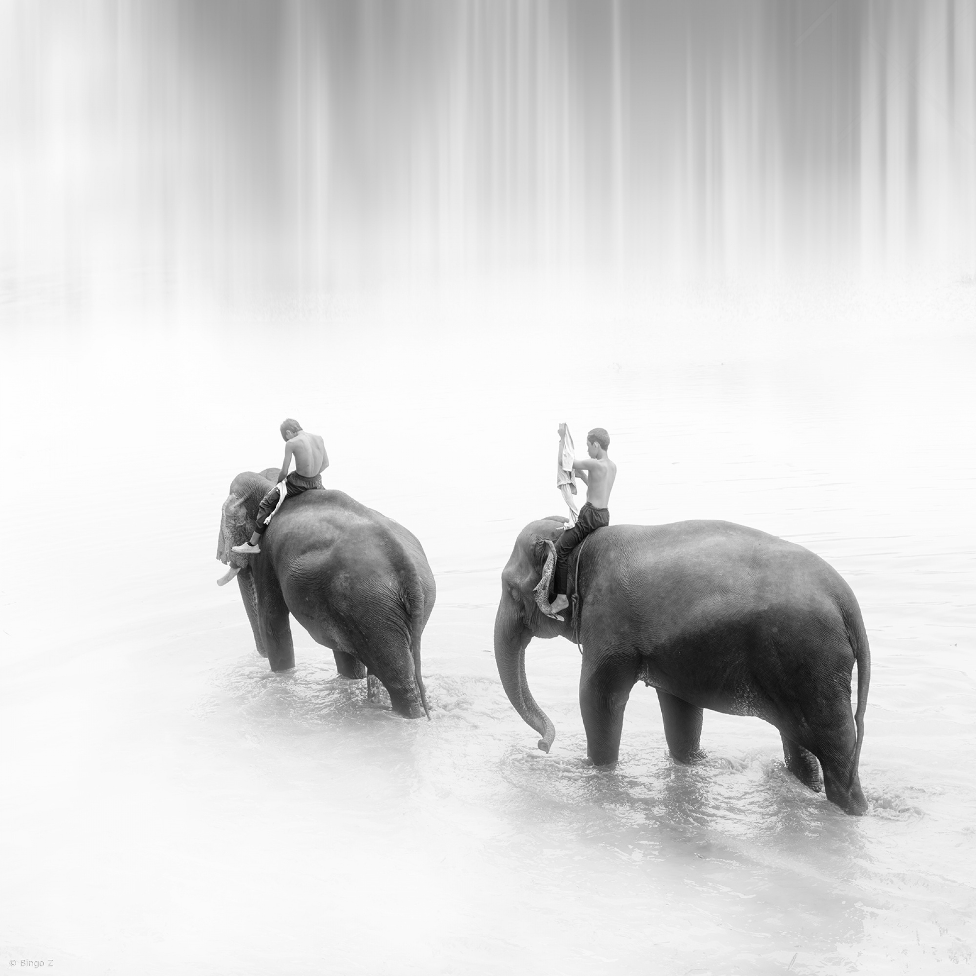 FANZINE 14　Daniel Rampulla　ダニエル・ランプラ Daniel Rampulla | Saint Laurent | YSL CY