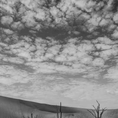 Black And White Desert Landscape
