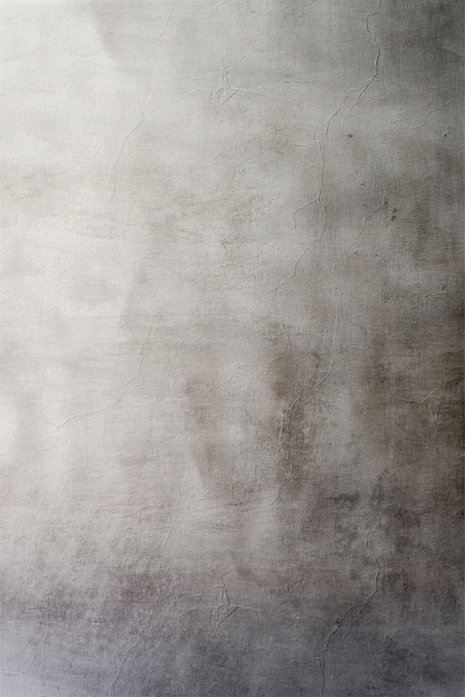 Distressed Gray Wall by Alma — canvas wall art
