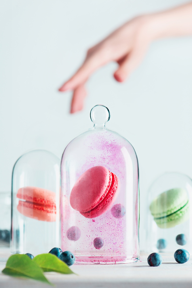 Delicate Macarons Under Glass by Dina Belenko — canvas wall art