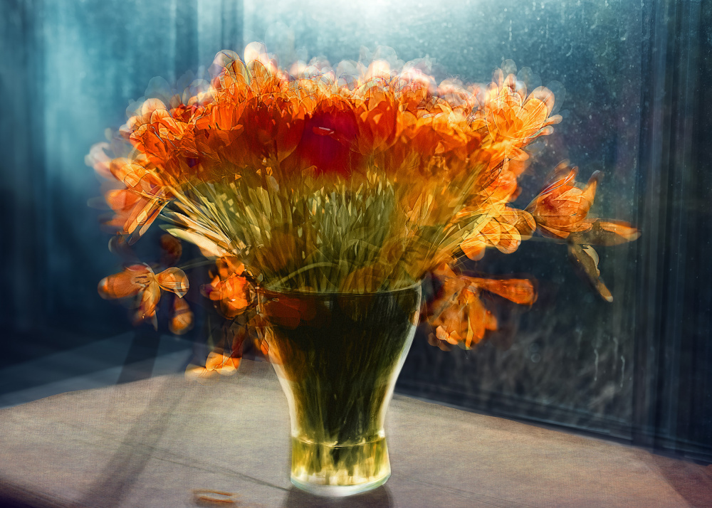 Dreamy Orange Flowers by Katarina Holmström — canvas wall art