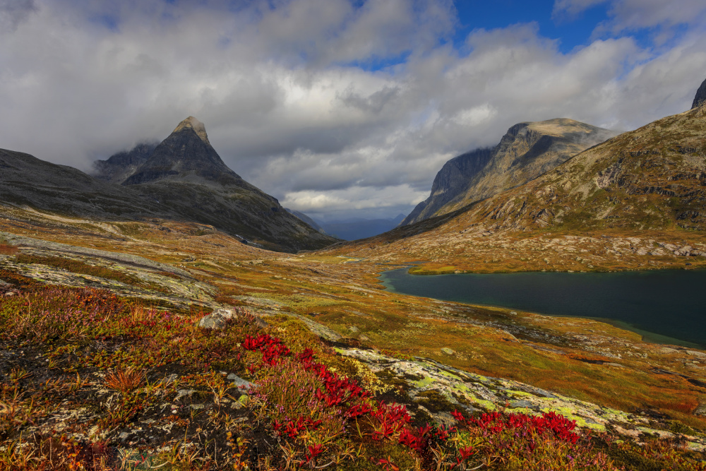 Vibrant Mountain Valley by Rune Askeland — canvas wall art