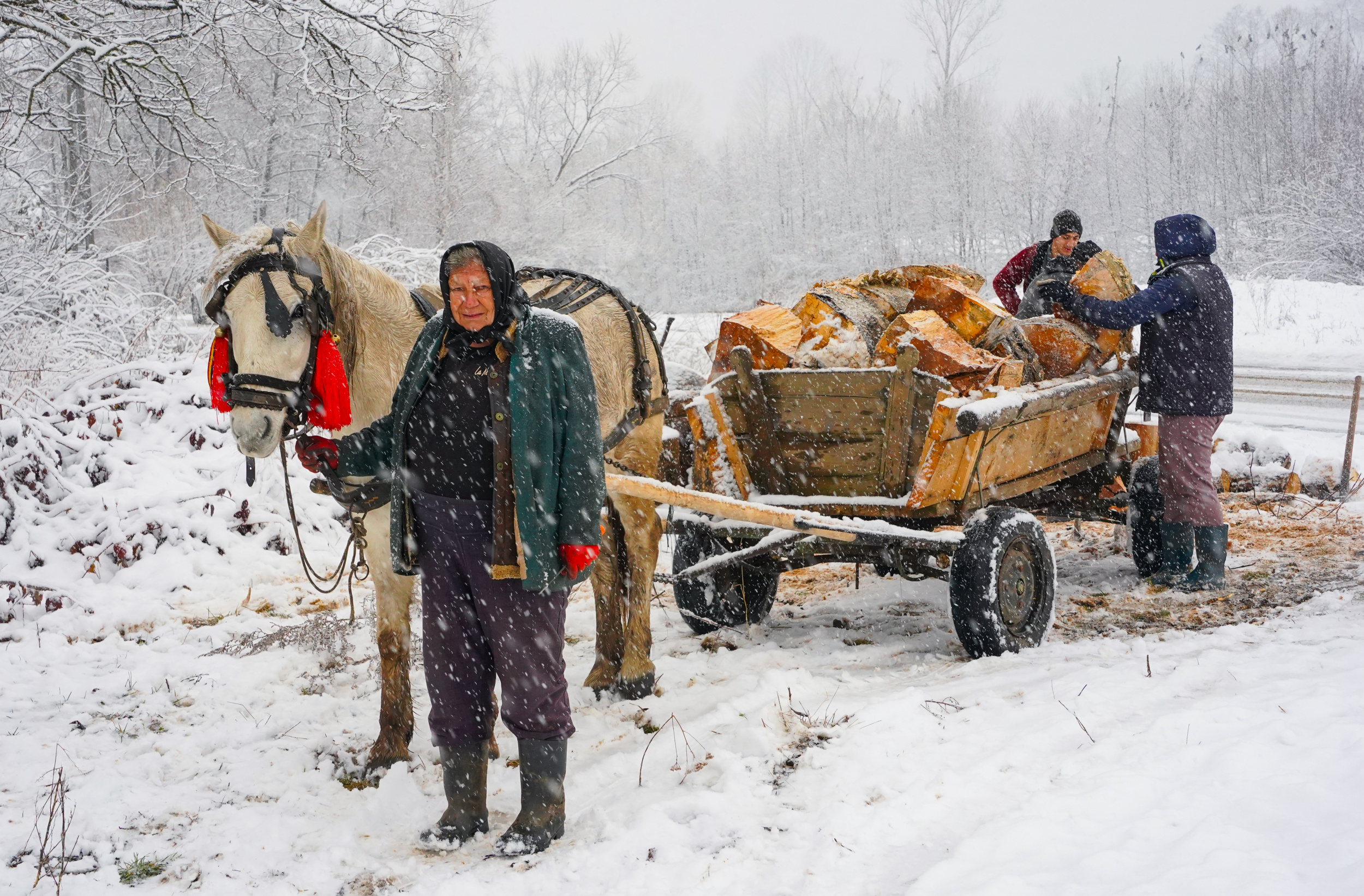  Under the snow, life goes on.