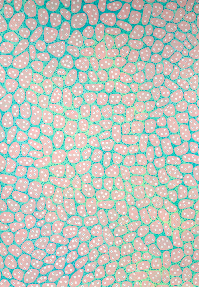 Dotted Pink Organic Shapes by Naomi Vona — canvas wall art
