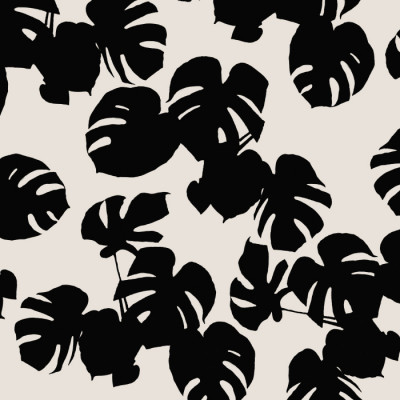 Tropical Monstera Leaves