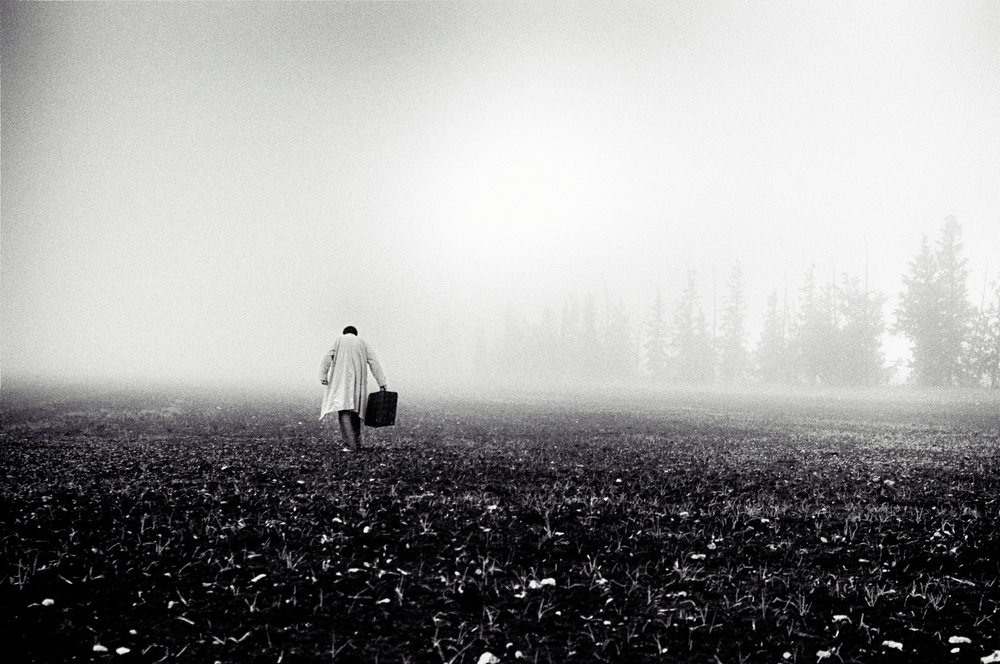 Solitary Walk in Mist by Miki Meir Levi — canvas wall art