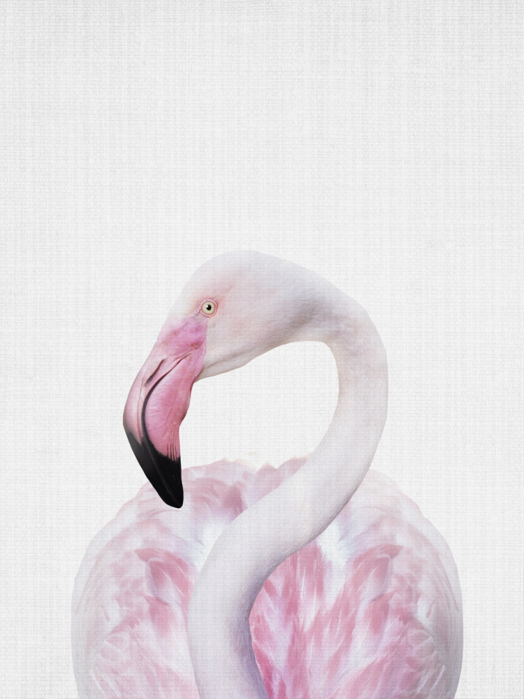 Elegant Pink Flamingo by Lila & Lola — canvas wall art