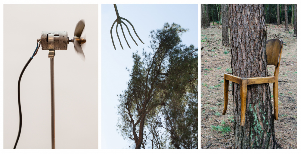 Surreal Objects In Nature by Michelle Degryse — canvas wall art
