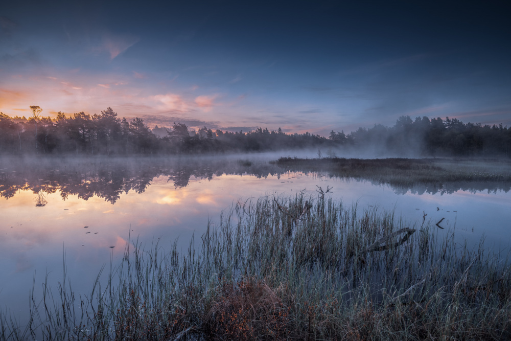 Misty Lake Sunrise by Benny Pettersson — canvas wall art
