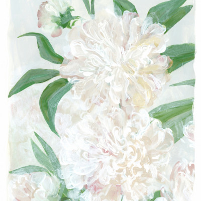 Fresh White Peonies