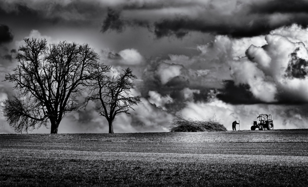 Farmer Under Stormy Sky by Jürgen Hartlieb — canvas wall art