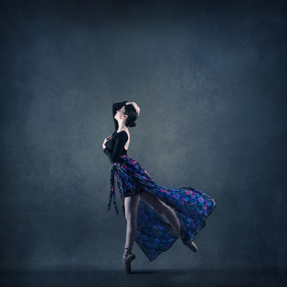 Graceful Ballet Dancer by Moein Hasheminasab — canvas wall art