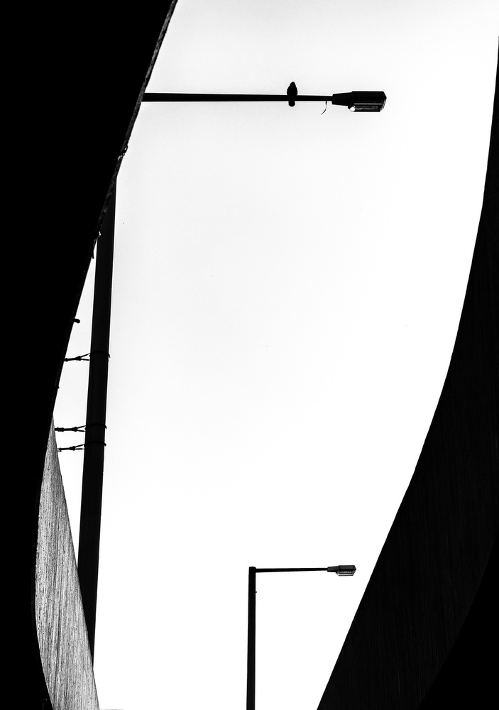 City Bird Silhouette by Jürgen Hartlieb — canvas wall art