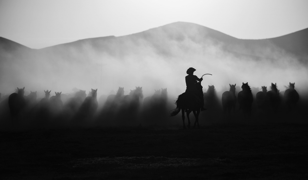Chasing the Jades! by Yavuz Pancareken — canvas wall art