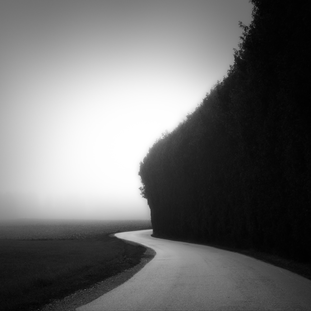Misty Country Road by Alexej Schulz — canvas wall art