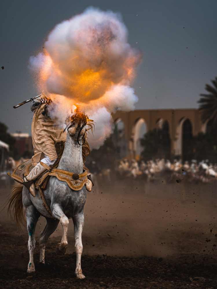 Explosive Equestrian Performance by ABDERRAHIM ZIGH — canvas wall art