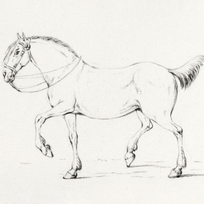 Stepping Horse (1775–1833)