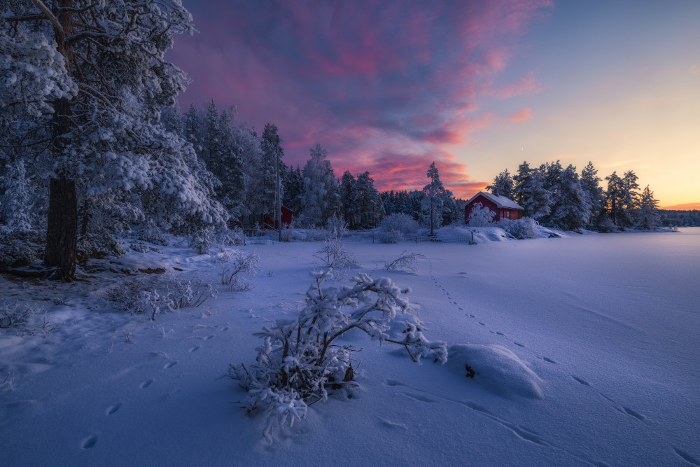 Red Cabin Winter Sunset by Ole Henrik Skjelstad — canvas wall art