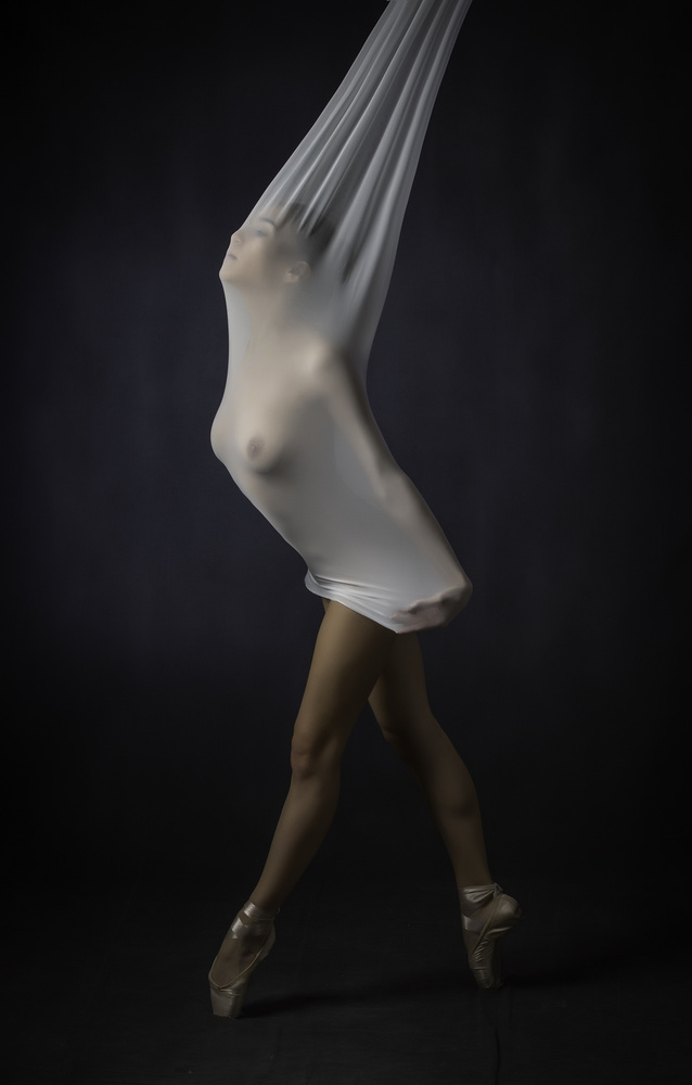 Ethereal Dancer by Catchlight Studio — canvas wall art
