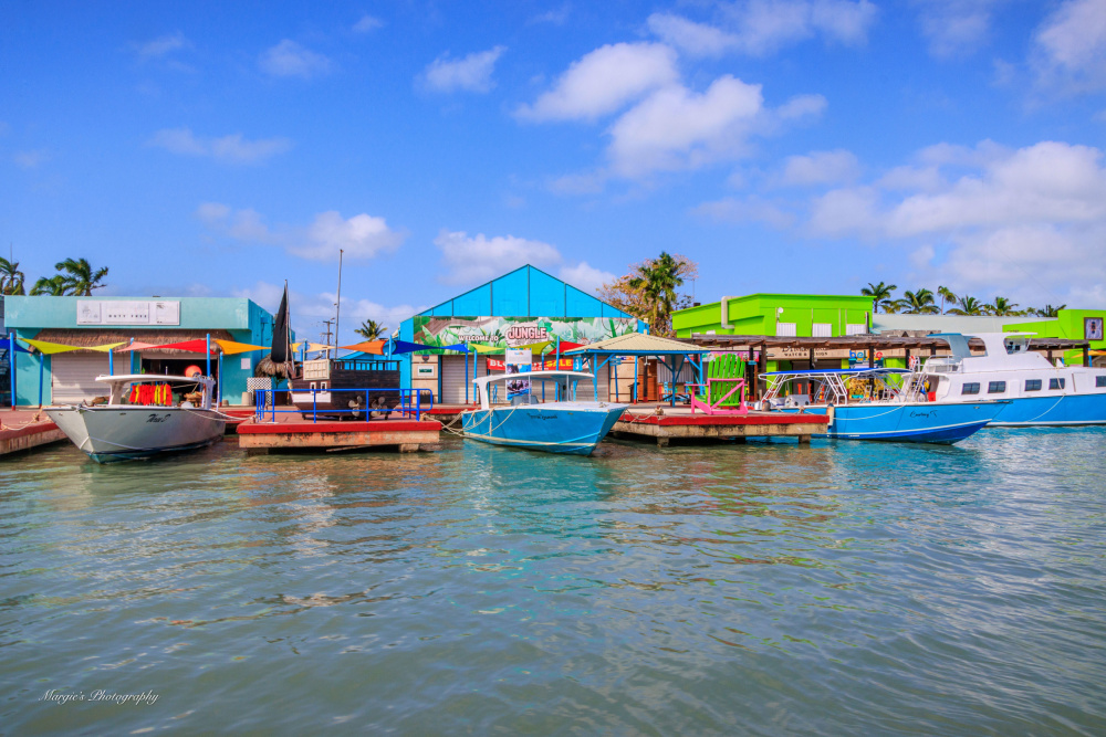 Colorful Harbor Town by GuruShots — canvas wall art