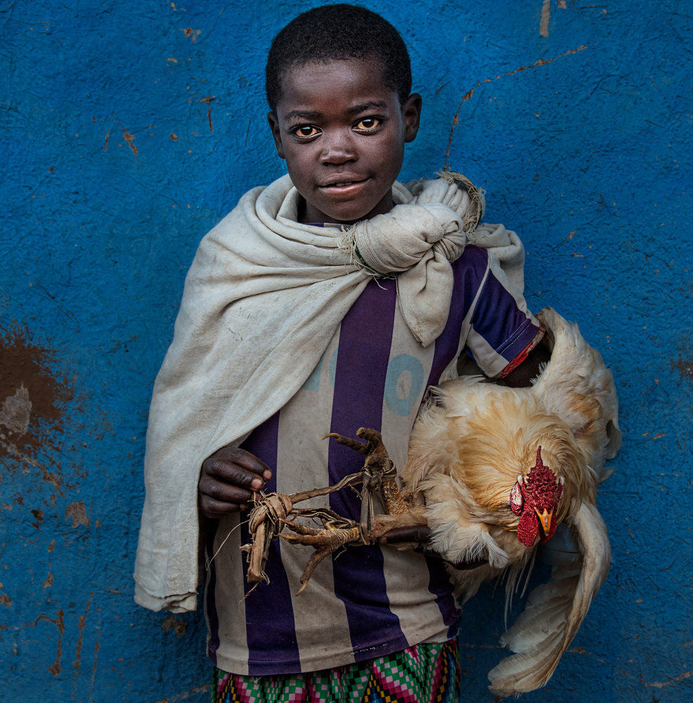 Boy Chicken Blue Portrait by Joxe Inazio Kuesta Garmendia — canvas wall art