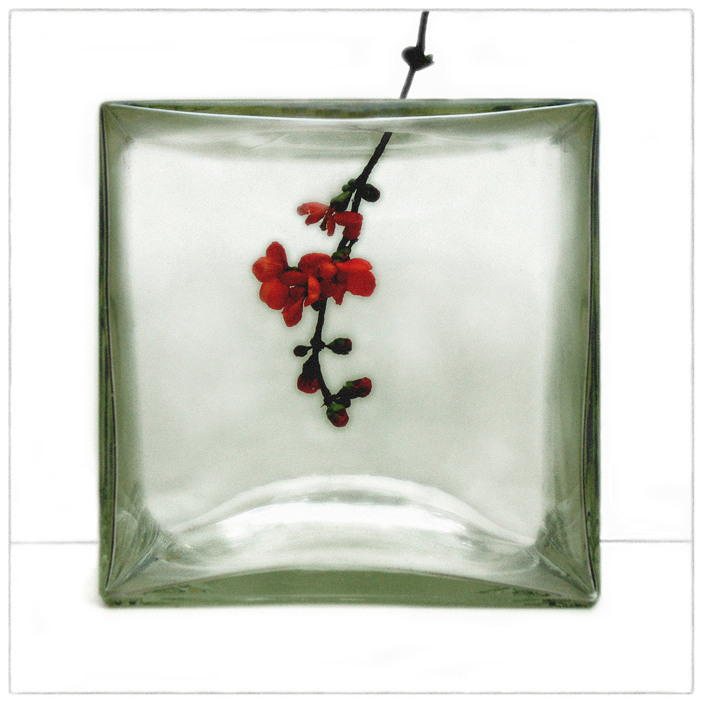 Red Flowers Glass Block by Huib Limberg — canvas wall art