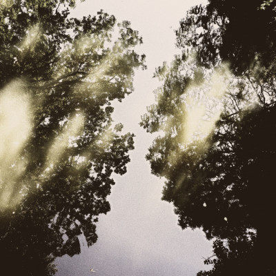 Nature's Mirrored Sky