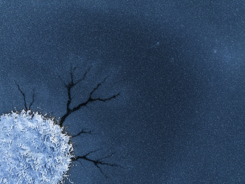 Icy Branches Night by Alexey Kharitonov — canvas wall art