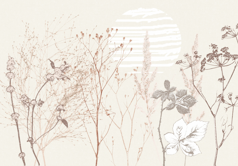 Dried Meadow Sun by Annick — canvas wall art