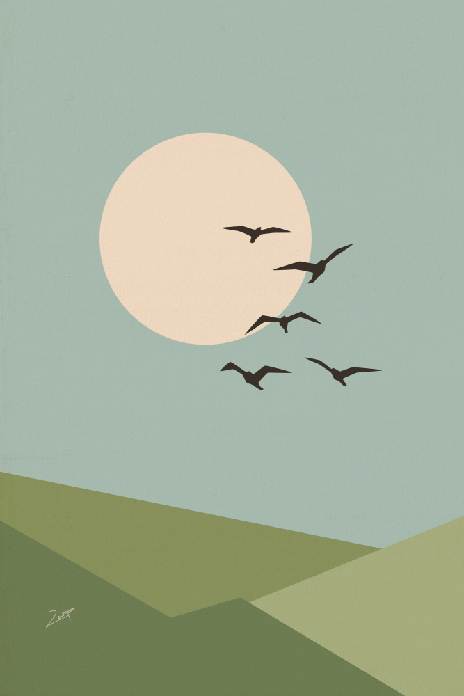 Birds Over Sunset Hills by zarish chaudhry — canvas wall art