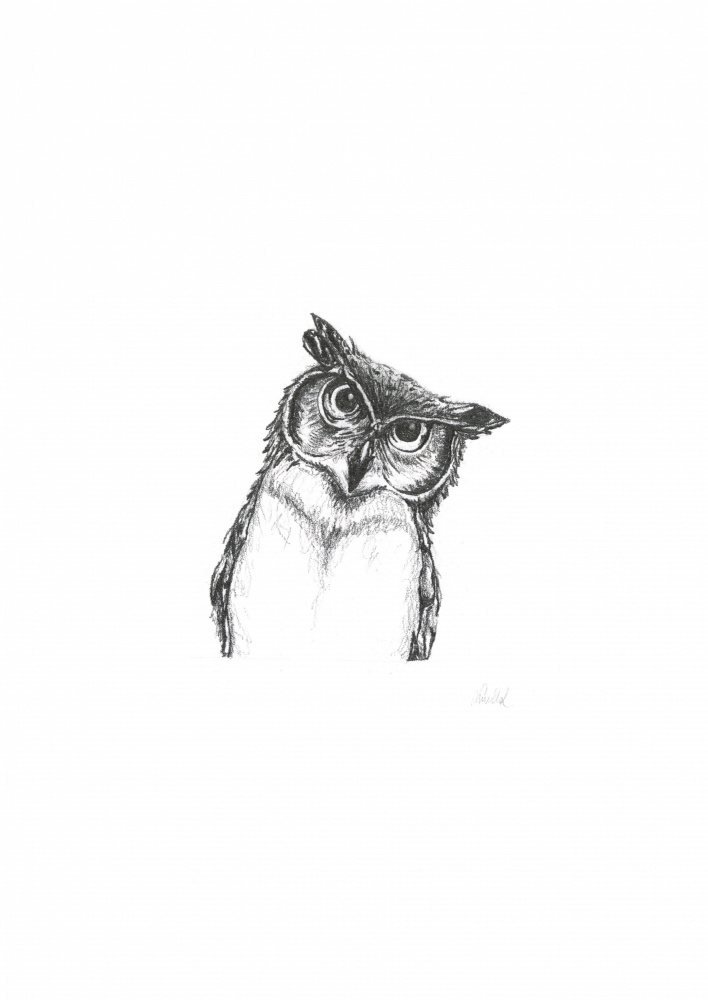Curious Owl Gaze by Lor Muller — canvas wall art