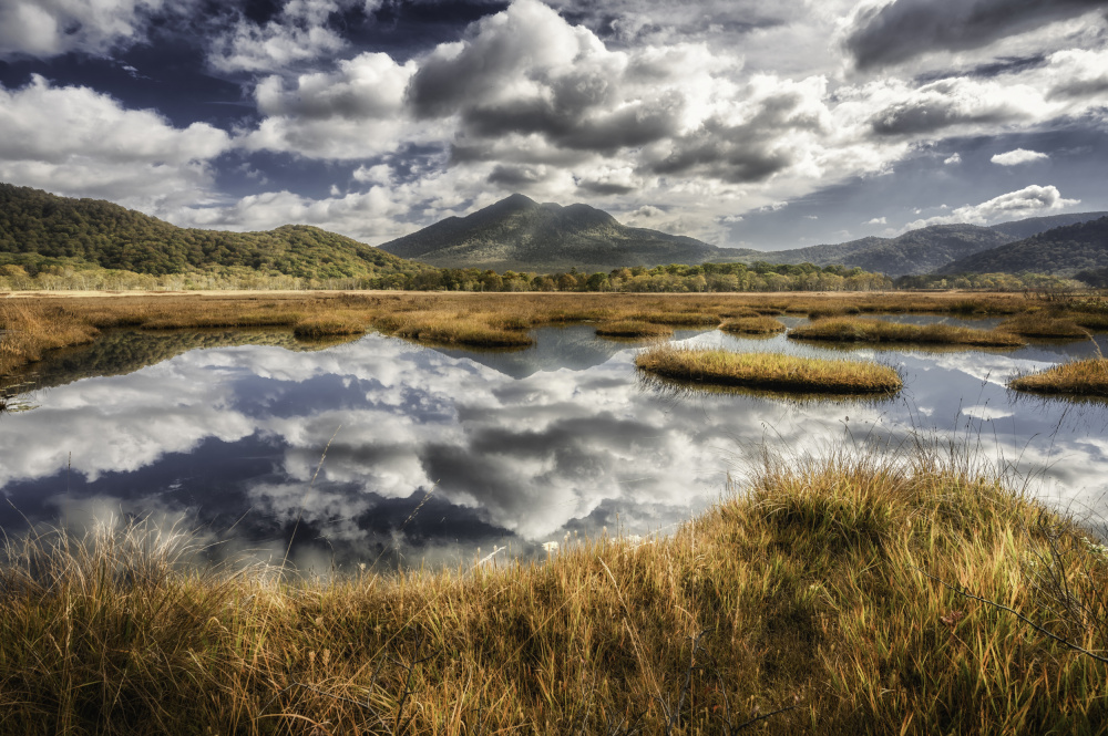 Autumn Marsh Reflections by Daiki Suzuki — canvas wall art