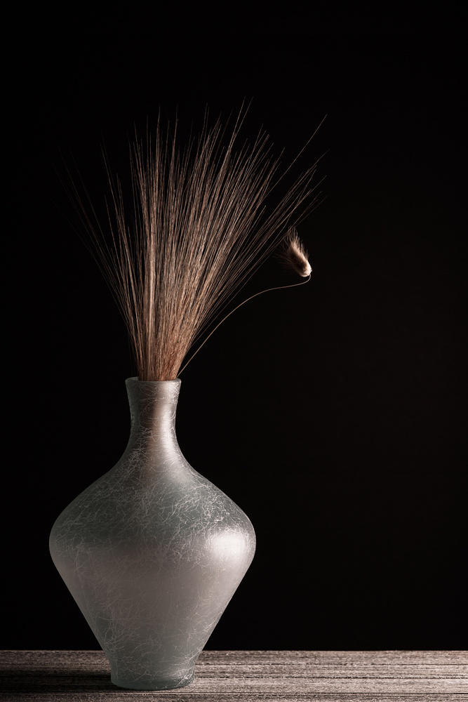Dried Grass Still Life by Dusan Ljubicic — canvas wall art