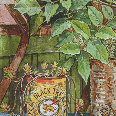 Rustic Garden Still Life