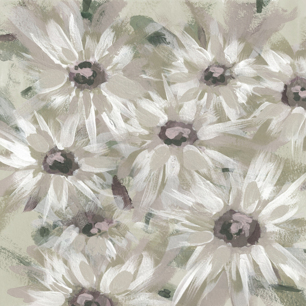 Soft Daisy Blooms by Lori Ann Folz — canvas wall art