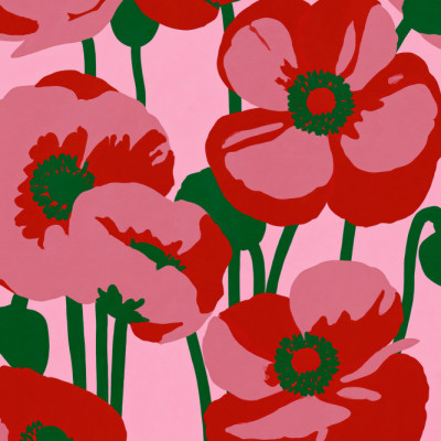 Modern Pink Poppies