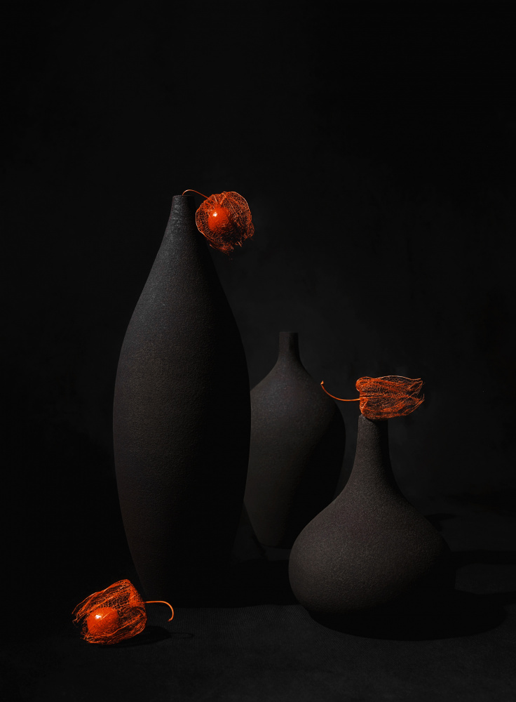 Black Vases Orange Physalis by Leechee Z — canvas wall art