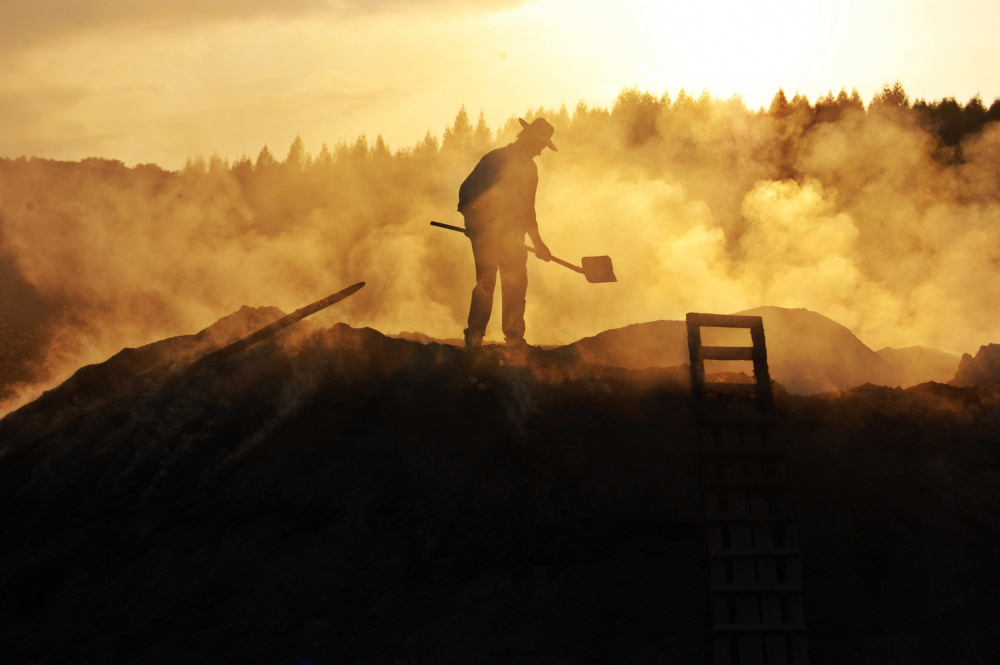 Golden Hour Labor by ATTILA SZABO — canvas wall art