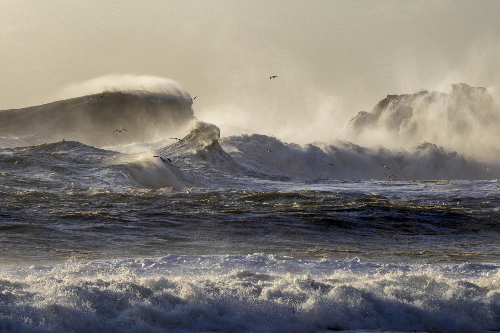 Wild Ocean Power by Benjamine Hullot Scalvenzi — canvas wall art