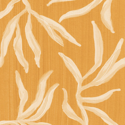 Ghost Fern 2 Sunlit Bamboo