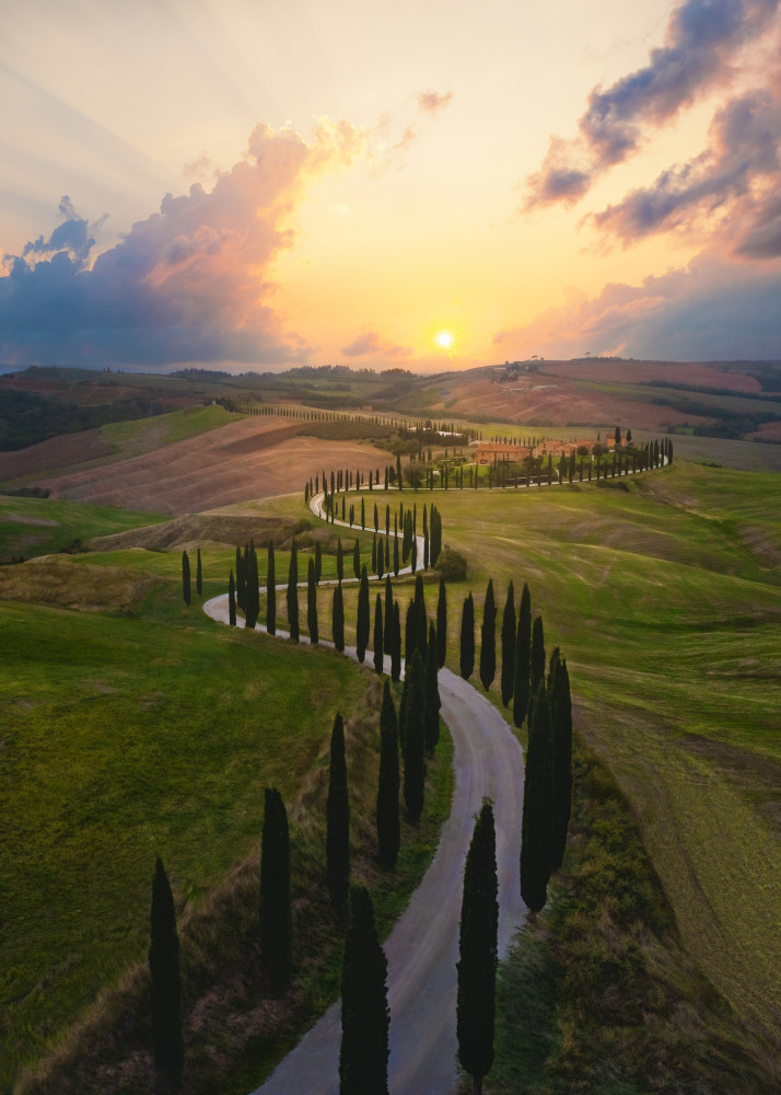 Tuscan Cypress Road Sunset by Leah Xu — canvas wall art