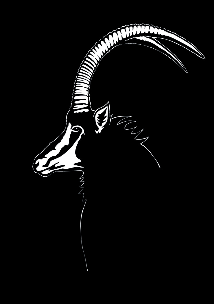 Majestic Sable Antelope by Carlo Kaminski — canvas wall art