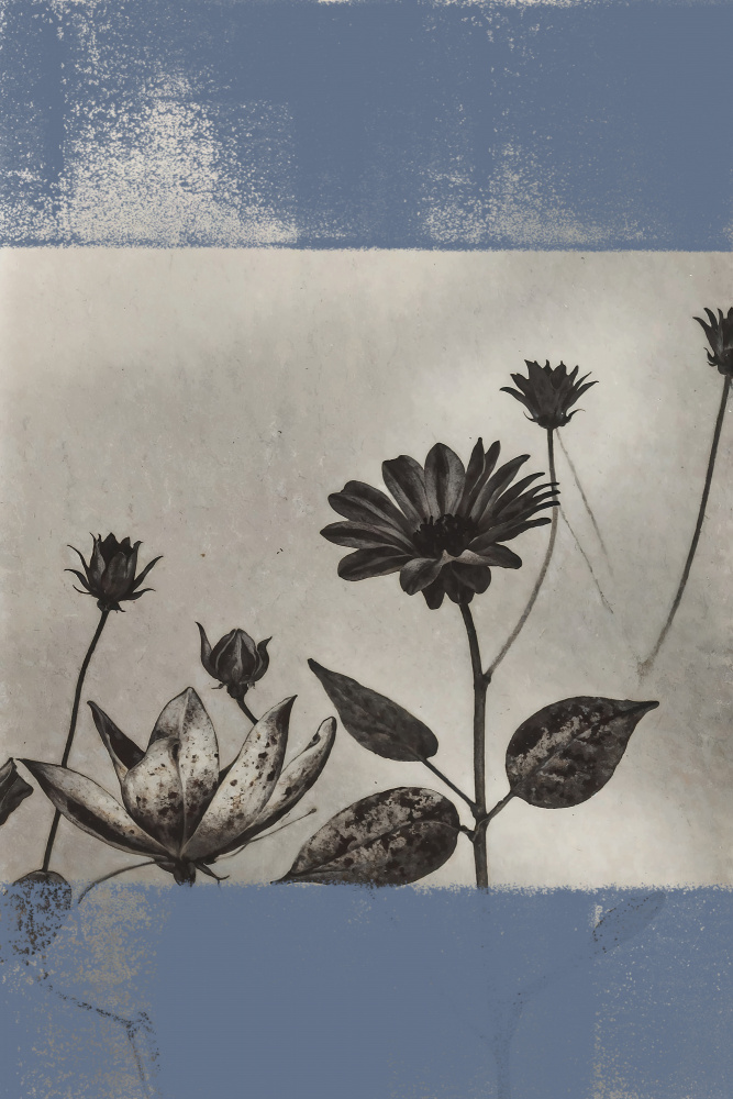 Serene Blue Botanicals by The Art Concept — canvas wall art
