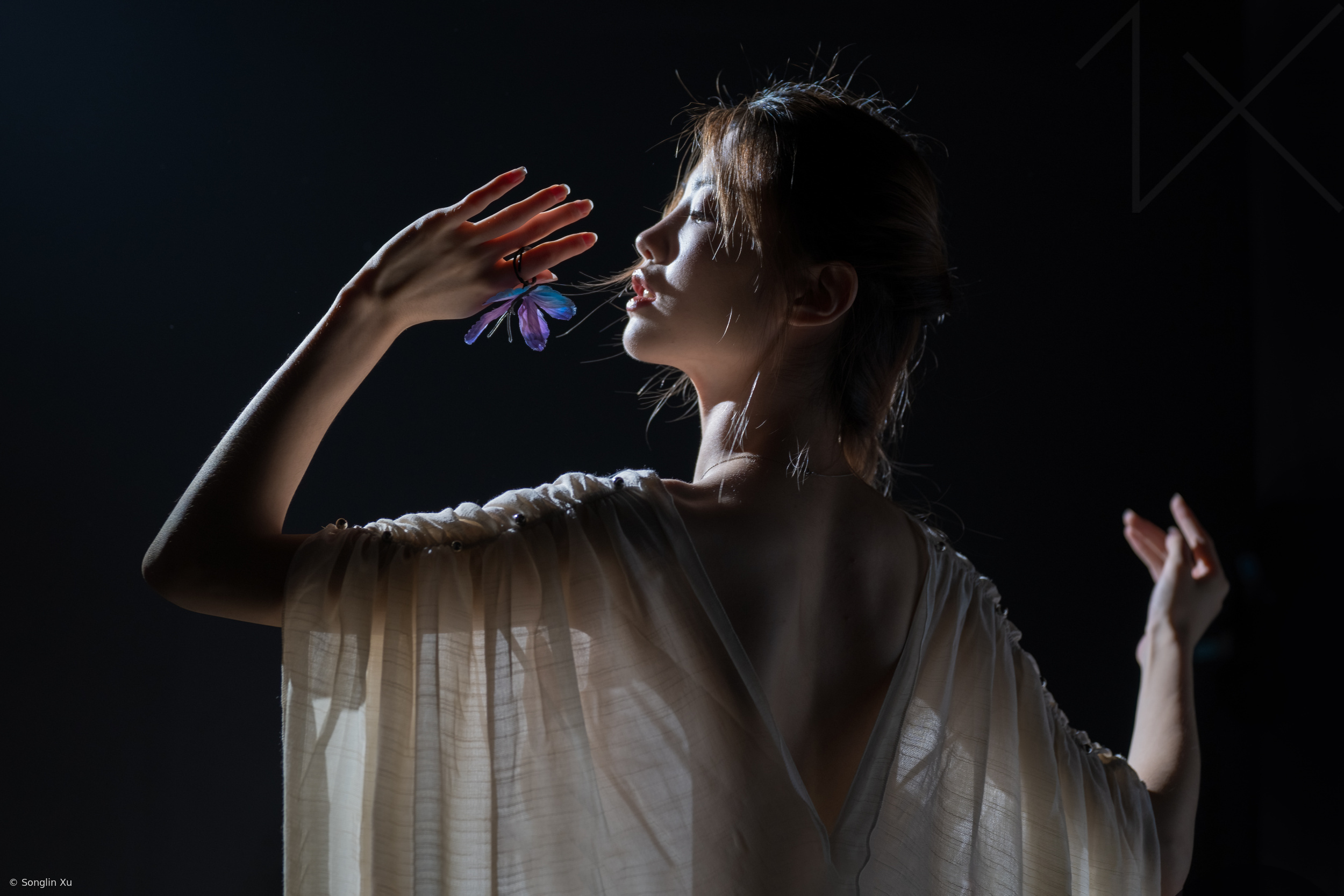 Dream to be a butterfly